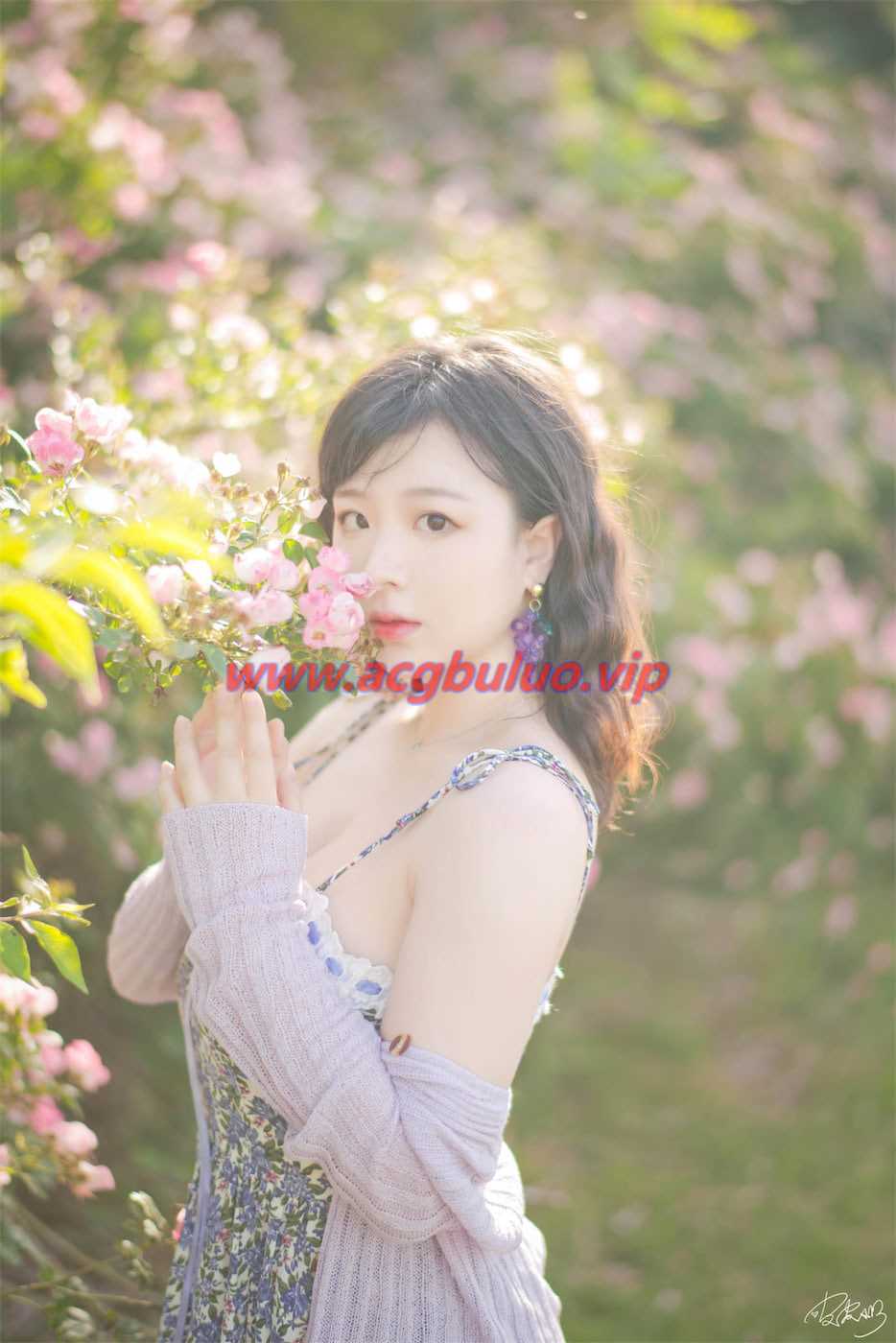 皮皮奶_Booty 蔷薇花37图(超皮皮皮奶)插图