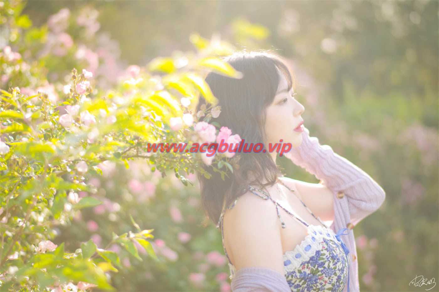 皮皮奶_Booty 蔷薇花37图(超皮皮皮奶)插图3
