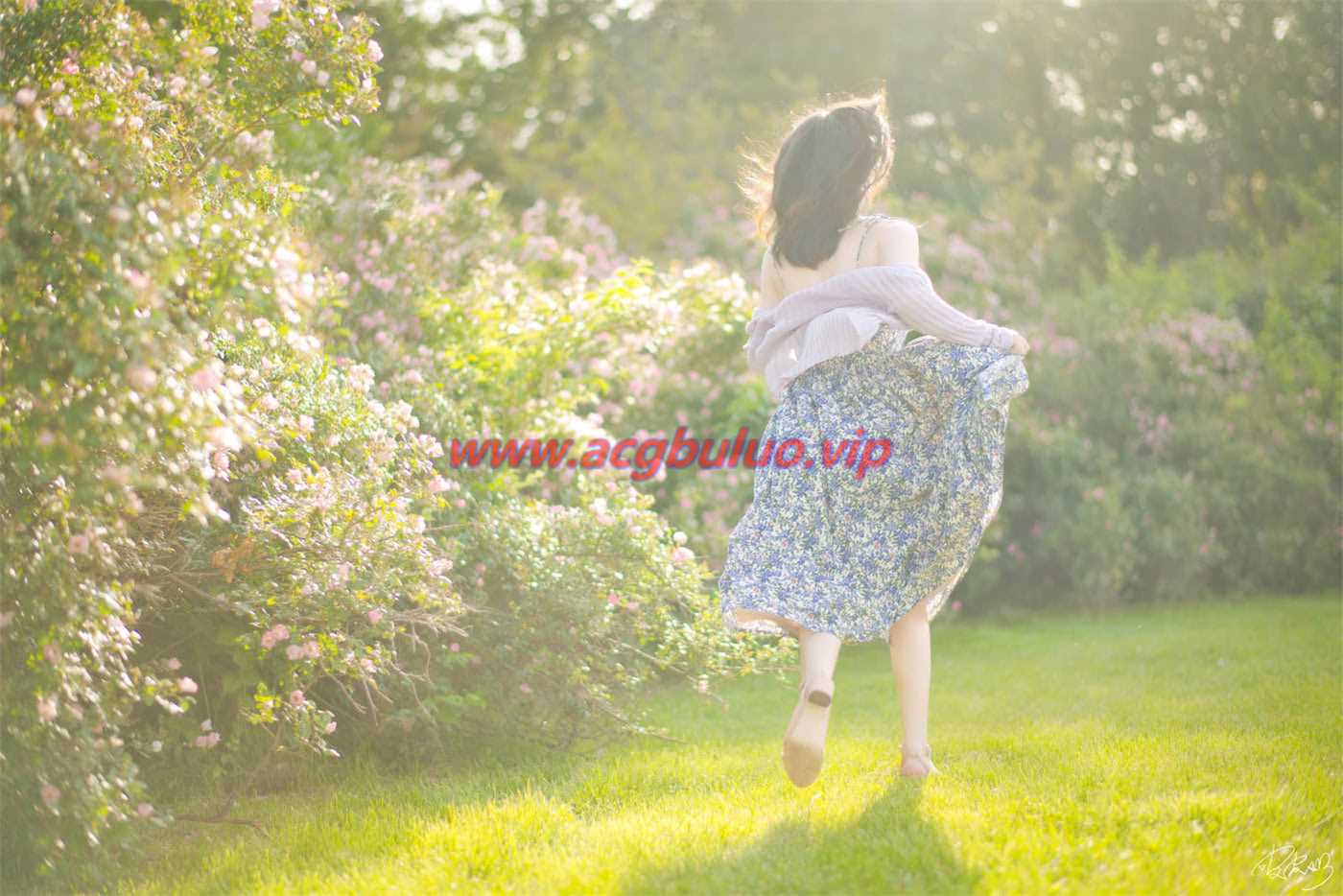 皮皮奶_Booty 蔷薇花37图(超皮皮皮奶)插图5