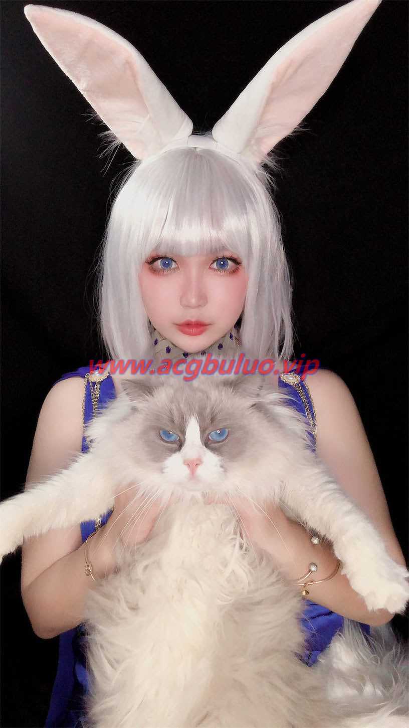 椒妮佐仁碧蓝航线带猫加贺16图1视频(碧蓝航线彩蛋安妮女王)插图1