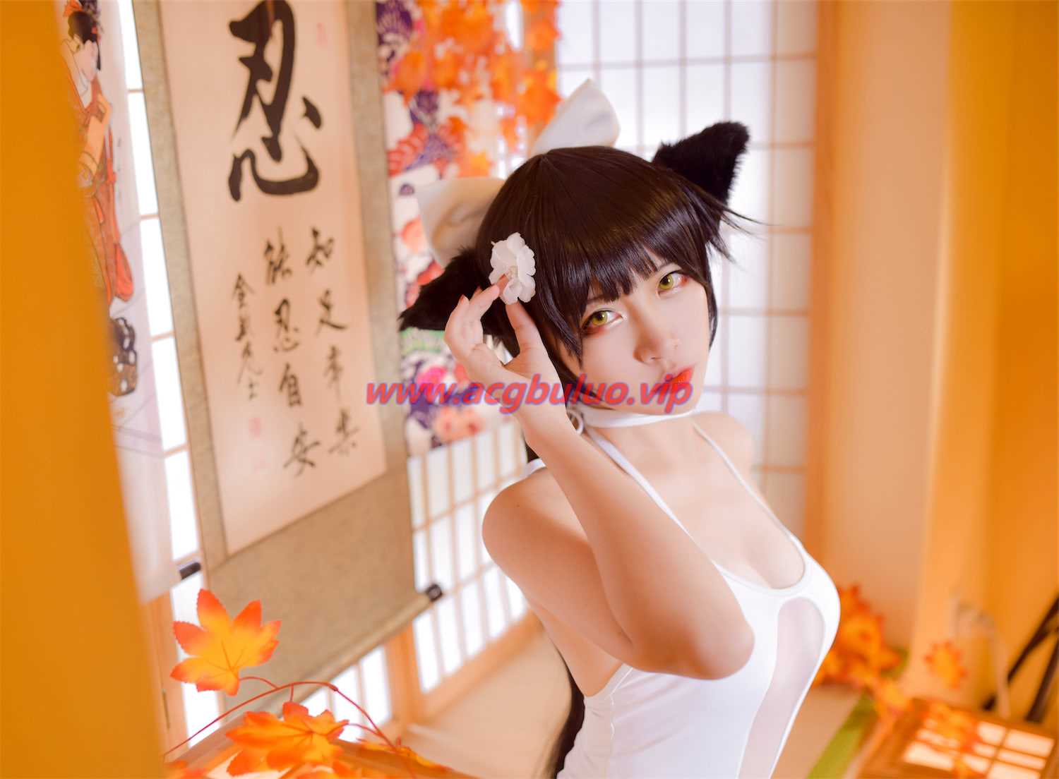 二佐Nisa高雄泳装31图(二佐Nisacosplay)插图2
